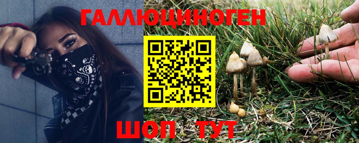Псилоцибиновые грибы GOLDEN TEACHER  Вход с VPN  Россошь 