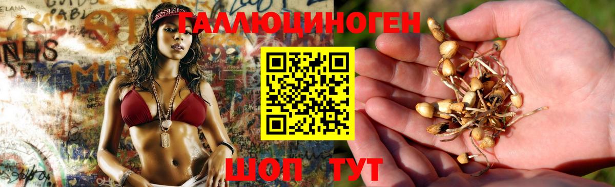 Псилоцибиновые грибы мицелий Россошь